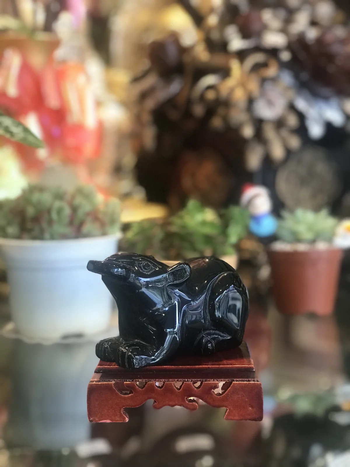 Chuột hắc ngà nhỏ GM197